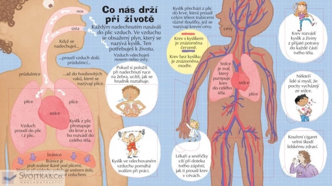 Privește în corpul tău
