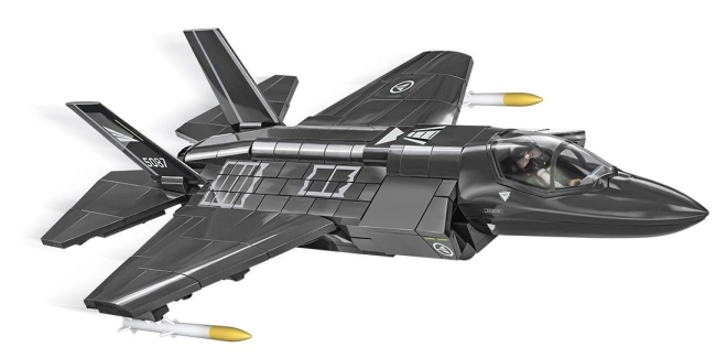 Model fidel al unui avion de vânătoare modern