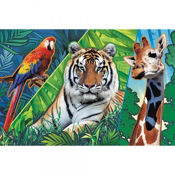 Puzzle fauna incredibilă 300 piese