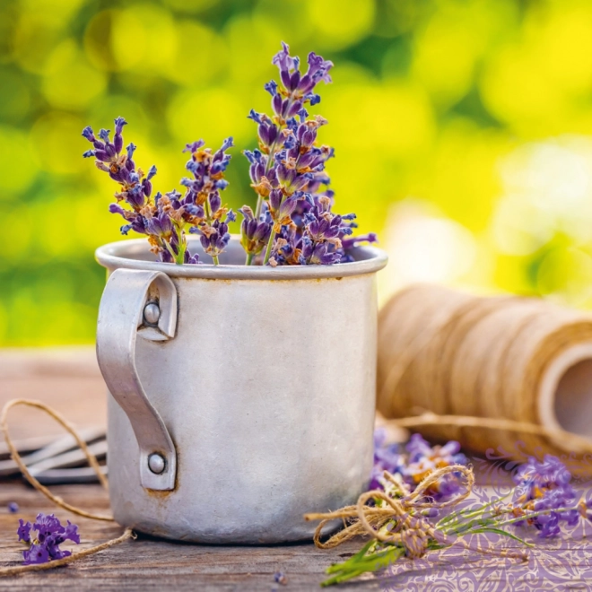 calendar notique anul 2025 cu temă provence, parfum de lavandă