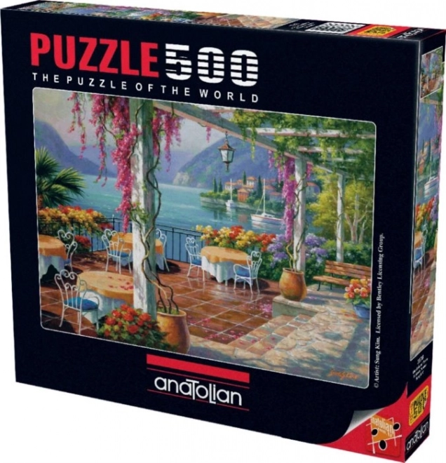 Puzzle terasa cu glicină 500 piese