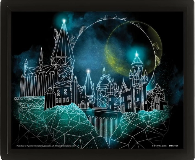 Tablou 3D Harry Potter - Hogwarts