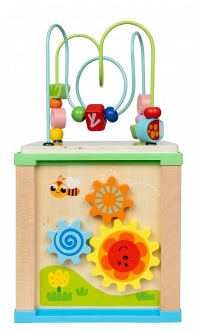 Cub activități din lemn 5 în 1