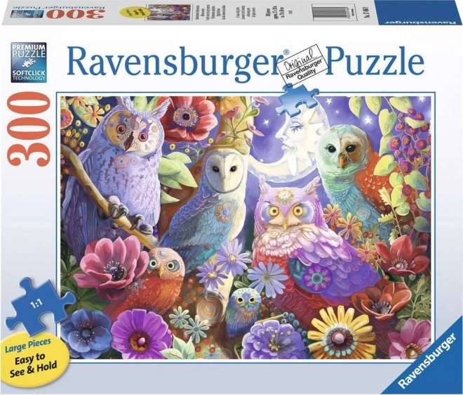 Puzzle RAVENSBURGER Bufnițe de noapte