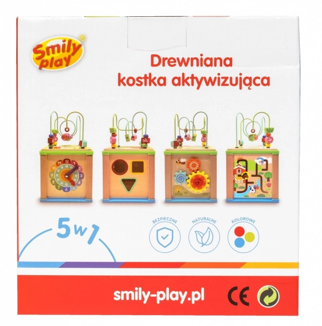 Cub activități din lemn 5 în 1