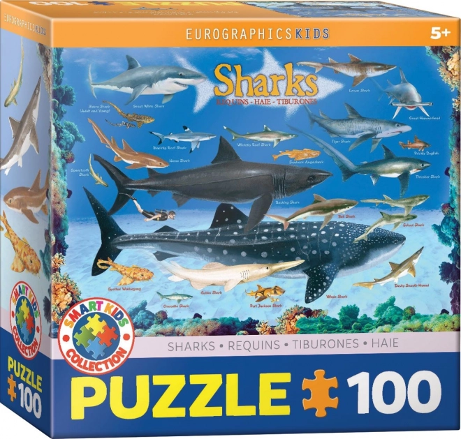 Puzzle cu rechini 100 piese