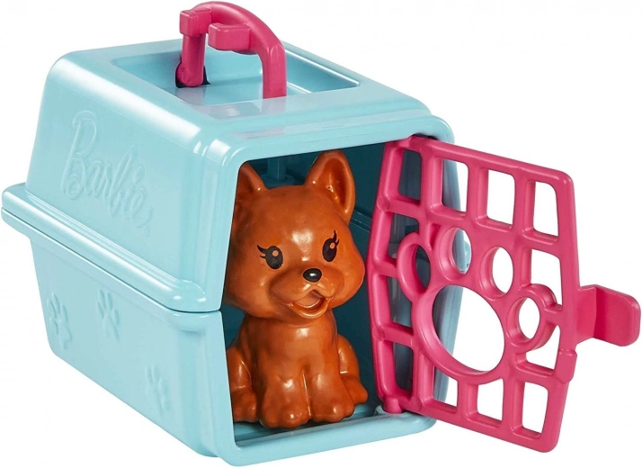 Accesorii bogate și transportor