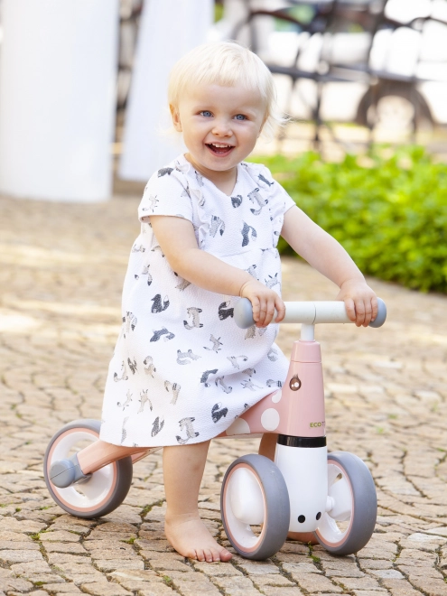 Bicicletă de echilibru Flamingo Ecotoys