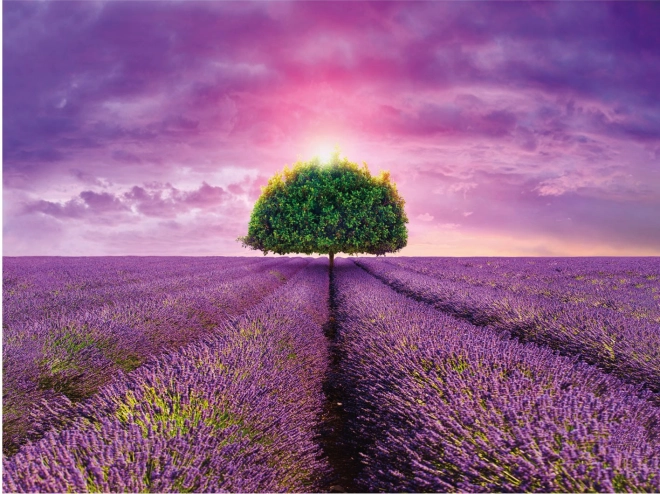 Aspect Provence