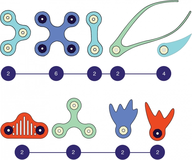 Clixo Ocean Creatures - Set de construcție magnetic iluminat