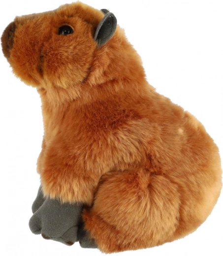 Alegere sigură de la naștere