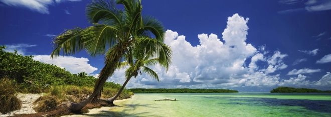 Motiv tropical de plajă paradisiacă