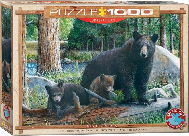 Puzzle Noi Descoperiri EUROGRAPHICS 1000 piese