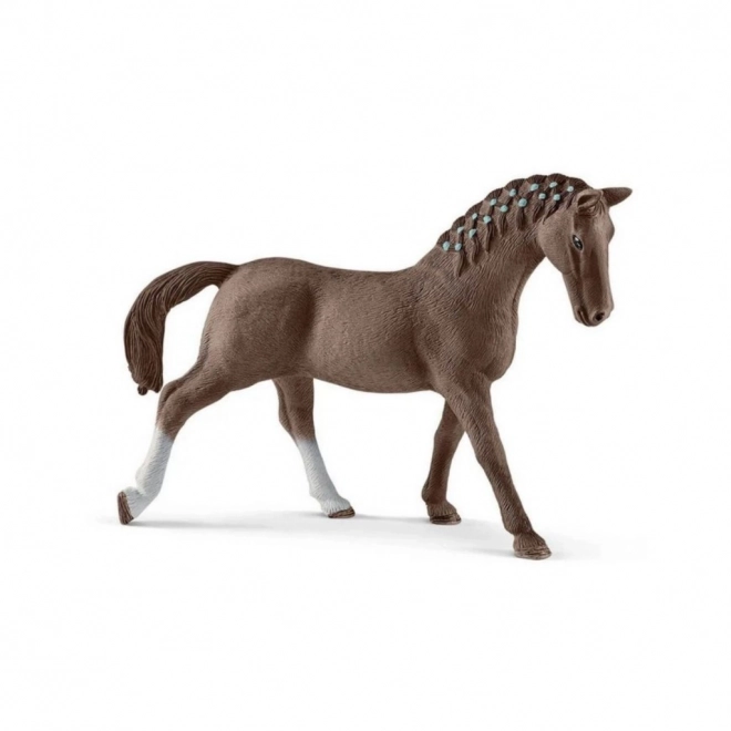 Iapă trakehner