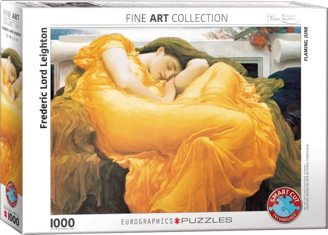 Puzzle Eurographics planoucí iunie 1000 piese