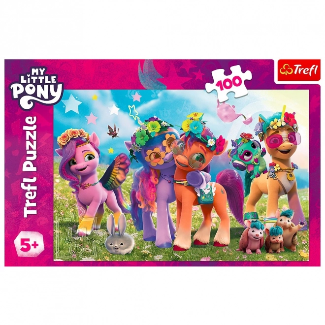 Puzzle amuzante My Little Pony 100 de piese