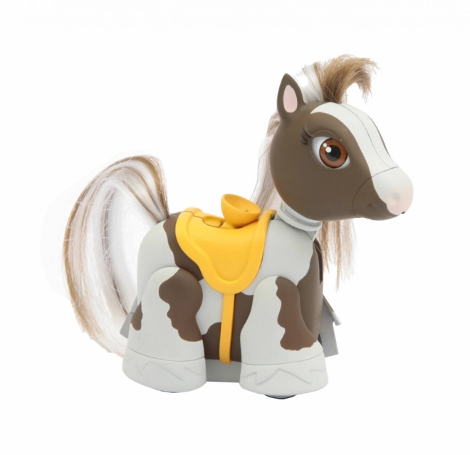 Poneii Pet Parade