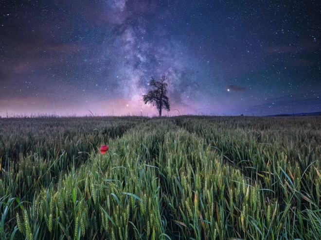Forța naturii