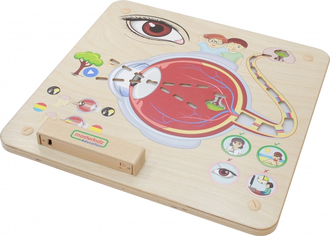 Tablă Educațională Masterkidz Vedere Montessori