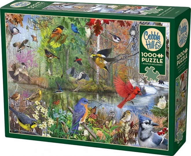 Puzzle păsări în anotimpuri 1000 de piese