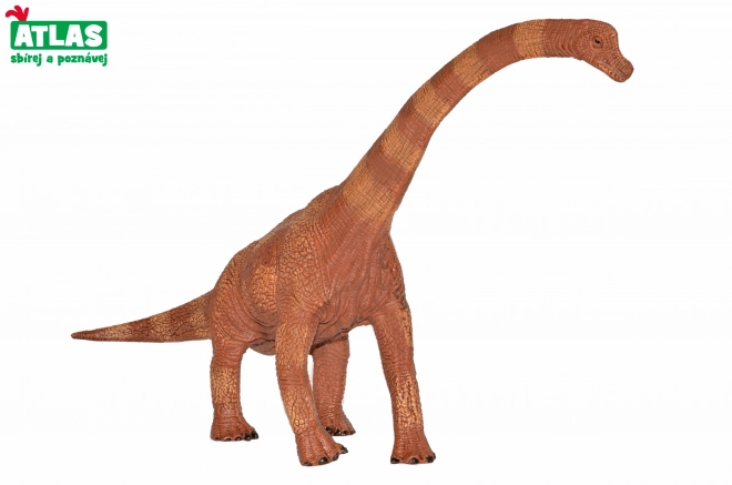 Figurină Dinozaur Brachiosaurus 30 cm