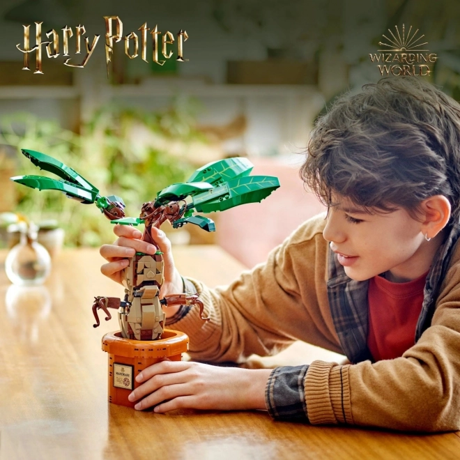 Figurină Mandragora LEGO Harry Potter