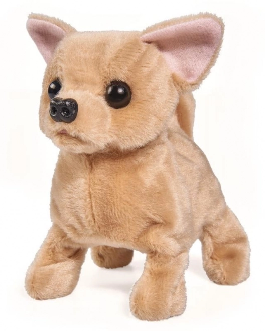 Pui de chihuahua pluş