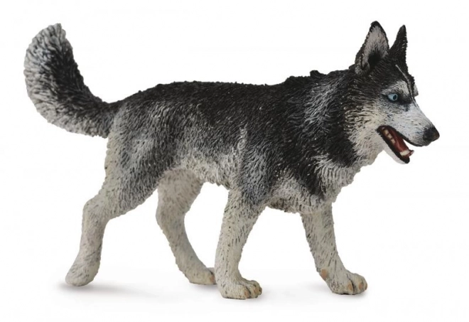 Figurină Husky Siberian de la Collecta