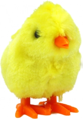 Design drăguț