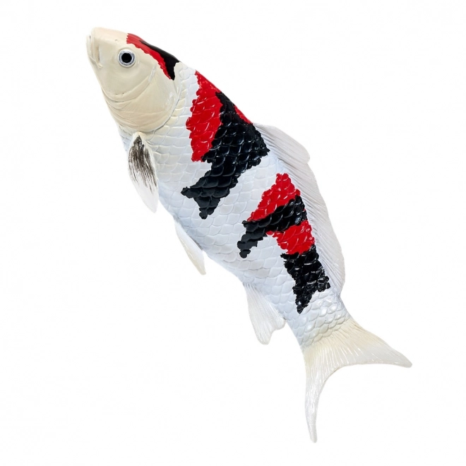 Mojo crap koi showa sanshoku
