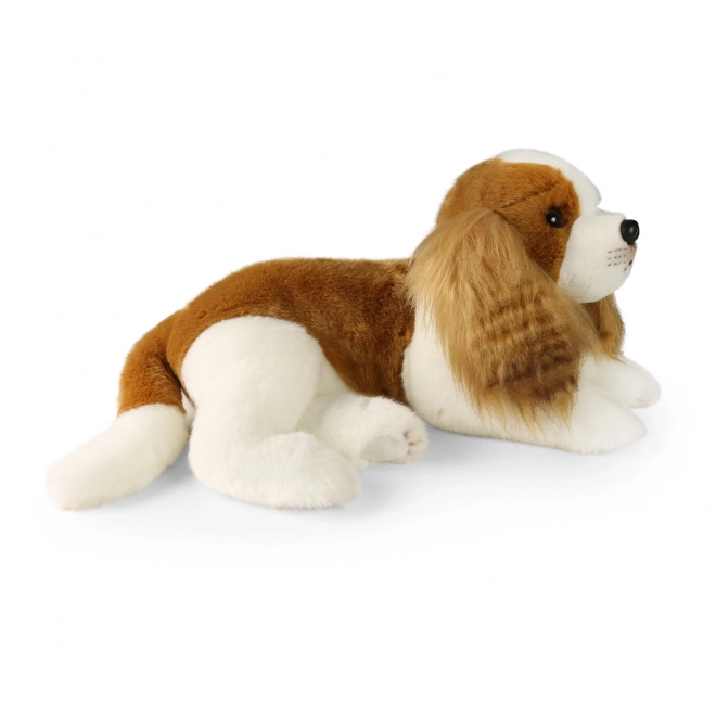 Câine din pluș Cavalier King Charles Spaniel ECO-Friendly