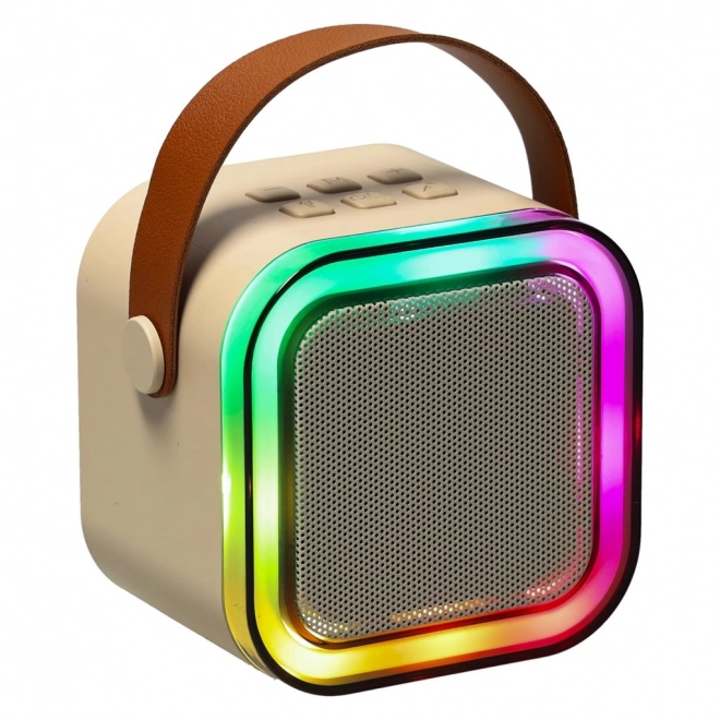Set karaoke cu 2 microfoane și difuzor portabil Bluetooth USB LED