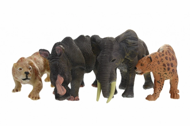 Animale Safari