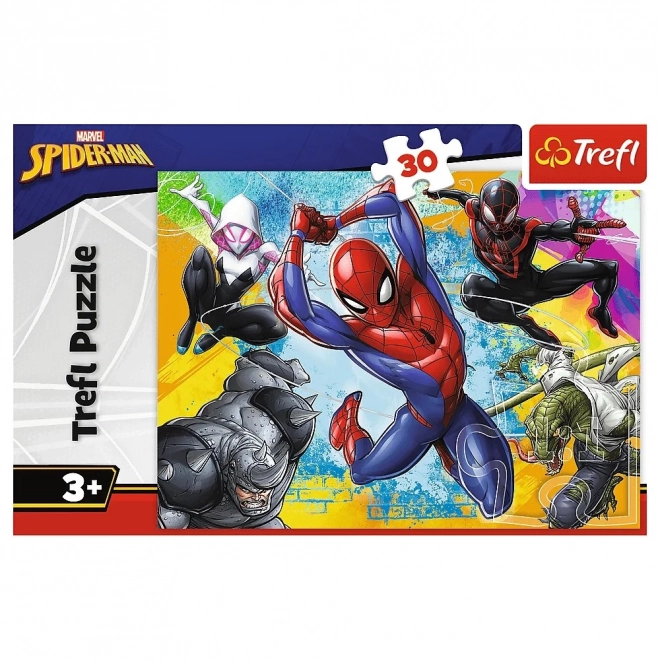 Puzzle Spiderman Culori 30 Piese