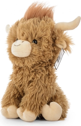 Aspect autentic de văcuță Highland