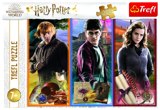 Motiv oficial HARRY POTTER de la Trefl