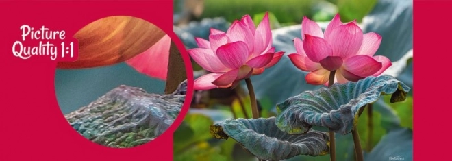 Puzzle Flori roz de lotus 500 de piese