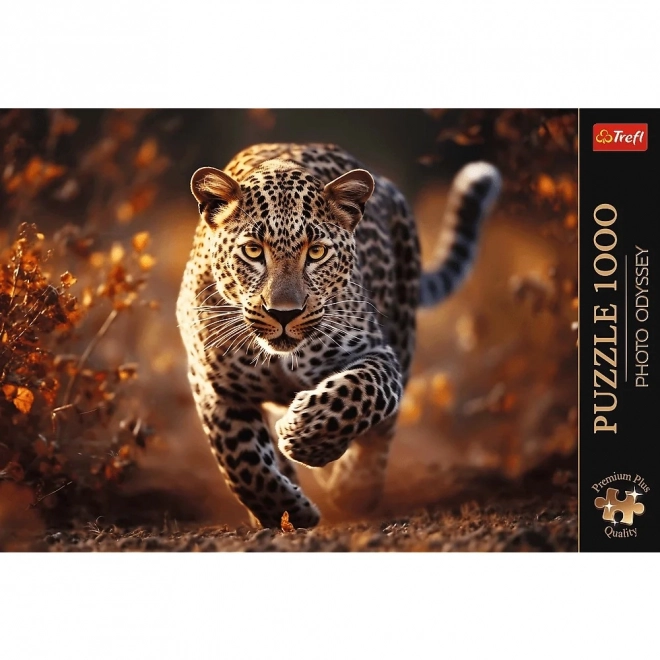 Puzzle 1000 piese leopard sălbatic