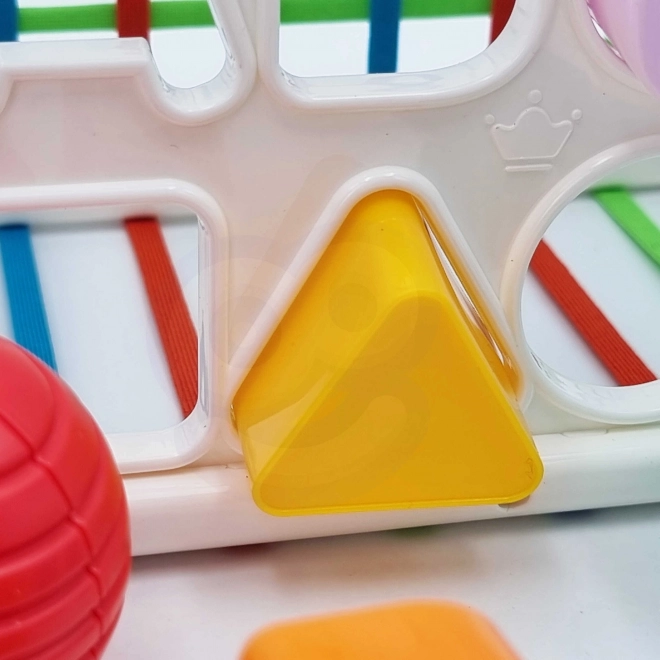 Cub educațional WOOPIE pentru bebeluși cu forme colorate și alfabet