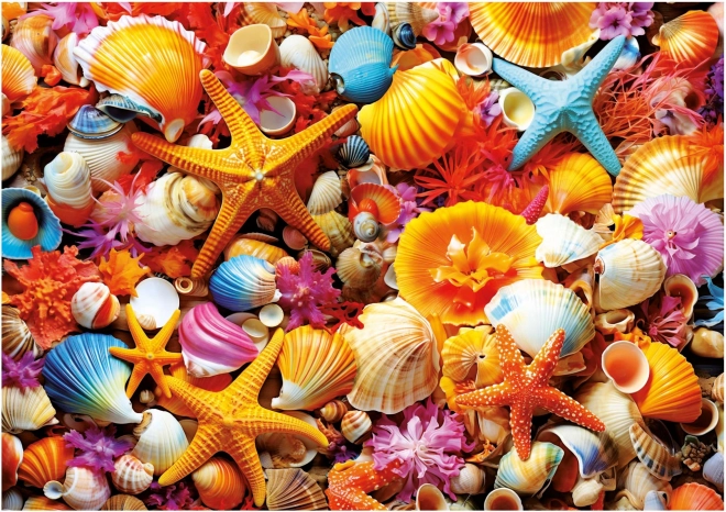 Puzzle Scoici 1000 piese EDUCA