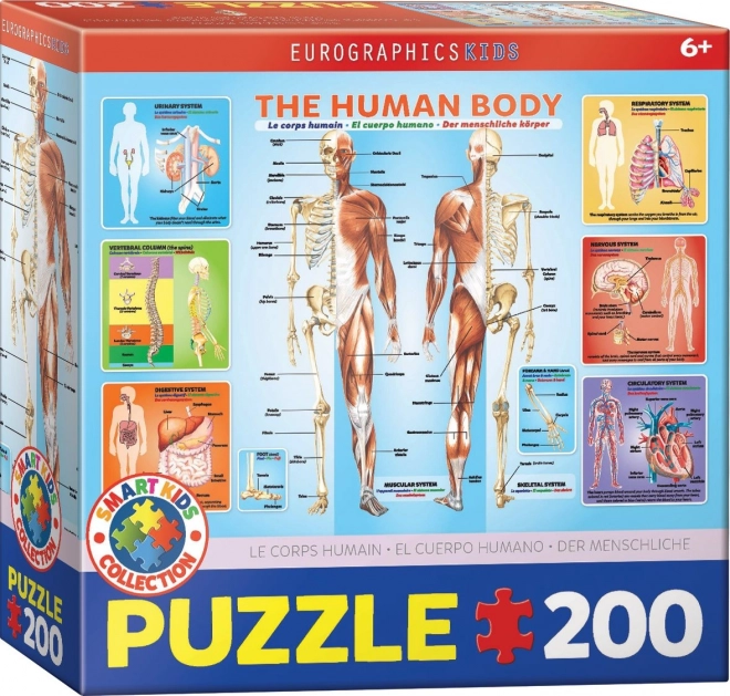 Puzzle Corpul uman 200 piese