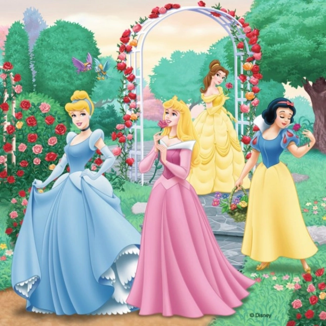 Puzzle Prințese Disney Sny 3x49 piese Ravensburger