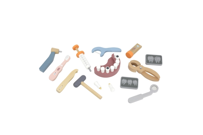 Instrumente realiste și model de dentiție