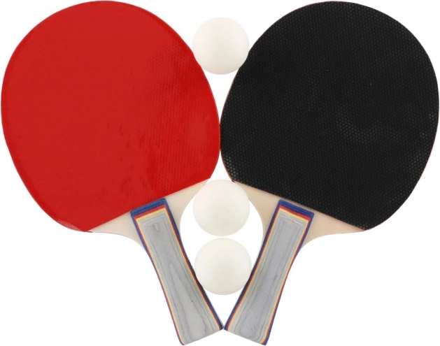 Set de tenis de masă: 2 palete + 3 mingi în husă