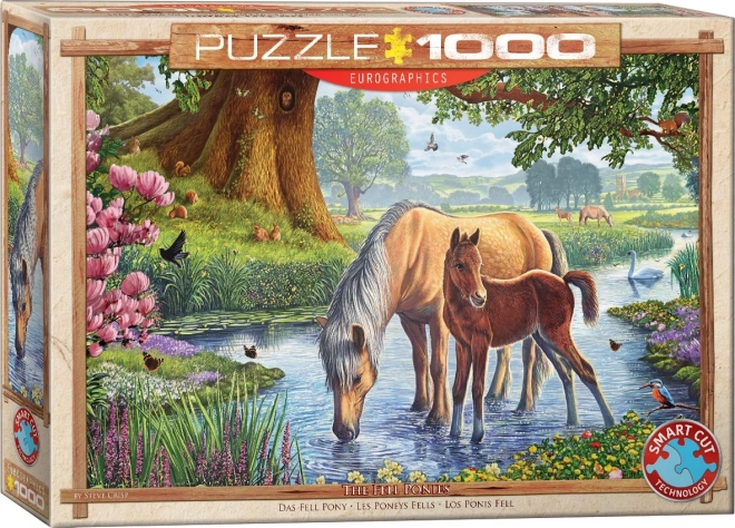 puzzle 1000 de piese feerici ponei