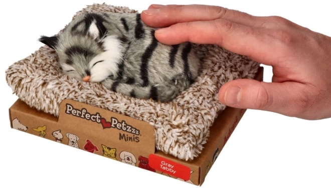 Pisicuță mică gri Perfect Petzzz