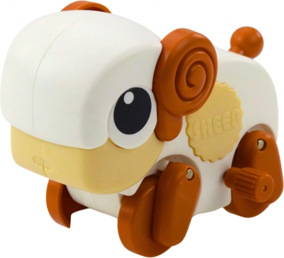 Varietate de modele și culori