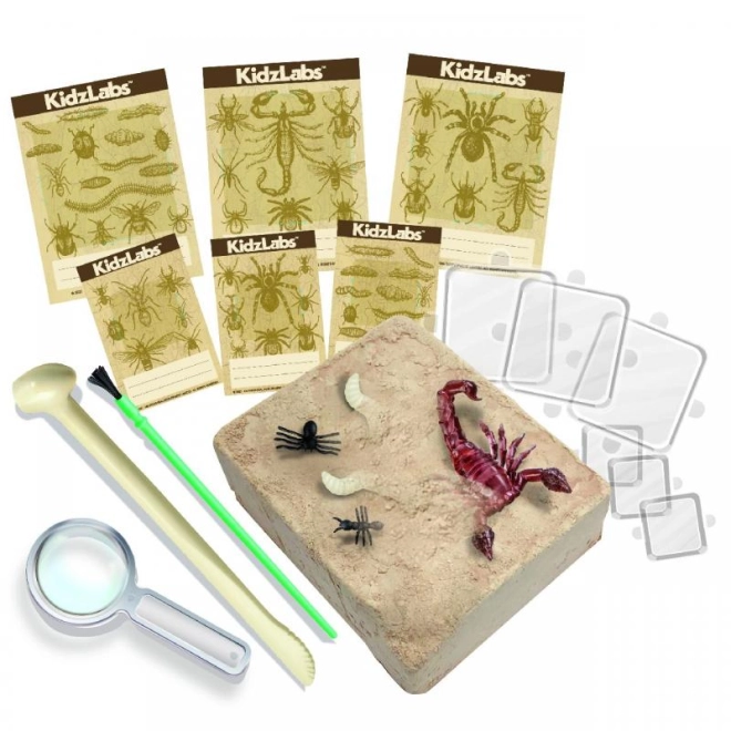 Set complet de unelte