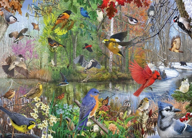Puzzle păsări în anotimpuri 1000 de piese
