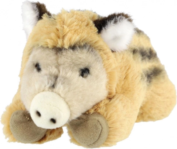 Execuție sigură încă de la naștere